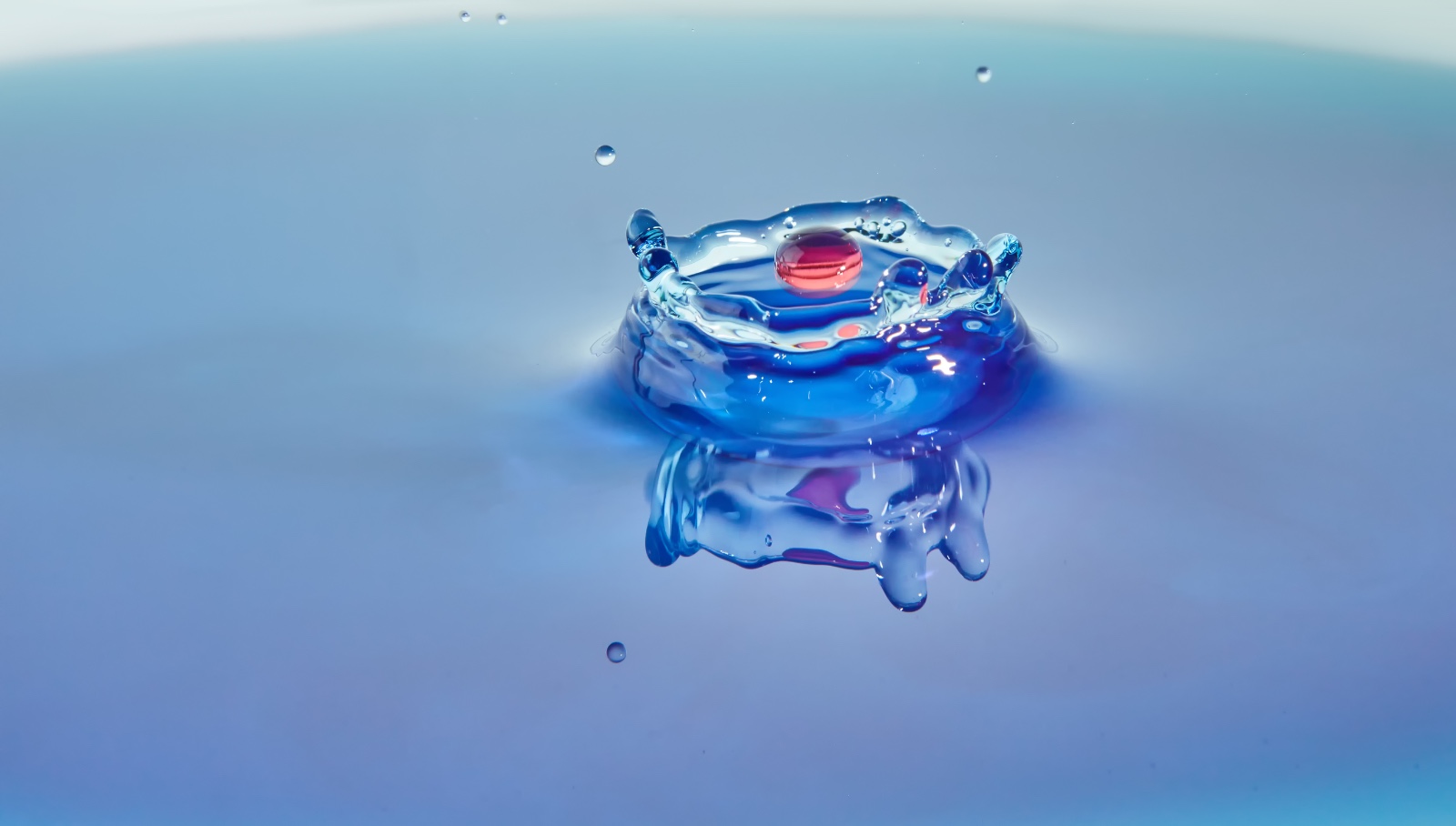 Ejemplos de RPA: Descubre cómo la automatización robótica de procesos puede transformar tu negocio